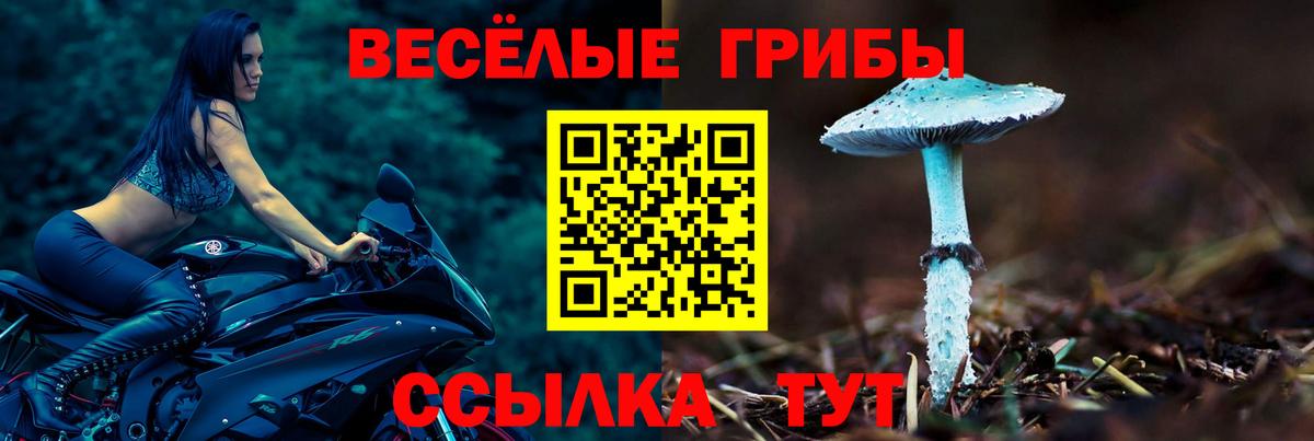 Лесозаводск  Галлюциногенные грибы ЛСД  Вход с VPN 